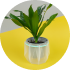 smallPotr icon